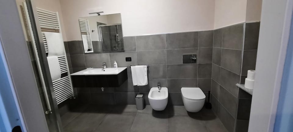 Shower, Toilet, Bathroom, bidet