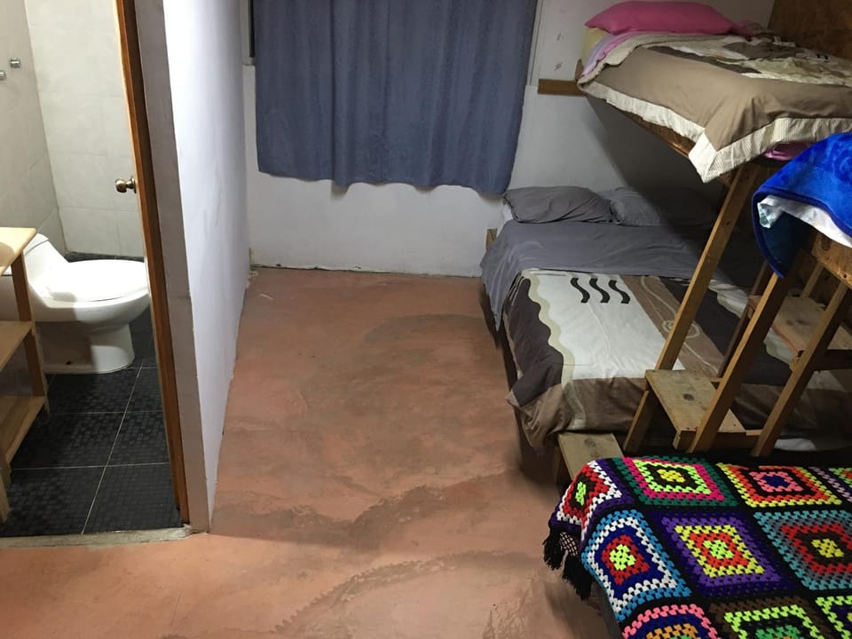 Bed, Bathroom, bunk bed