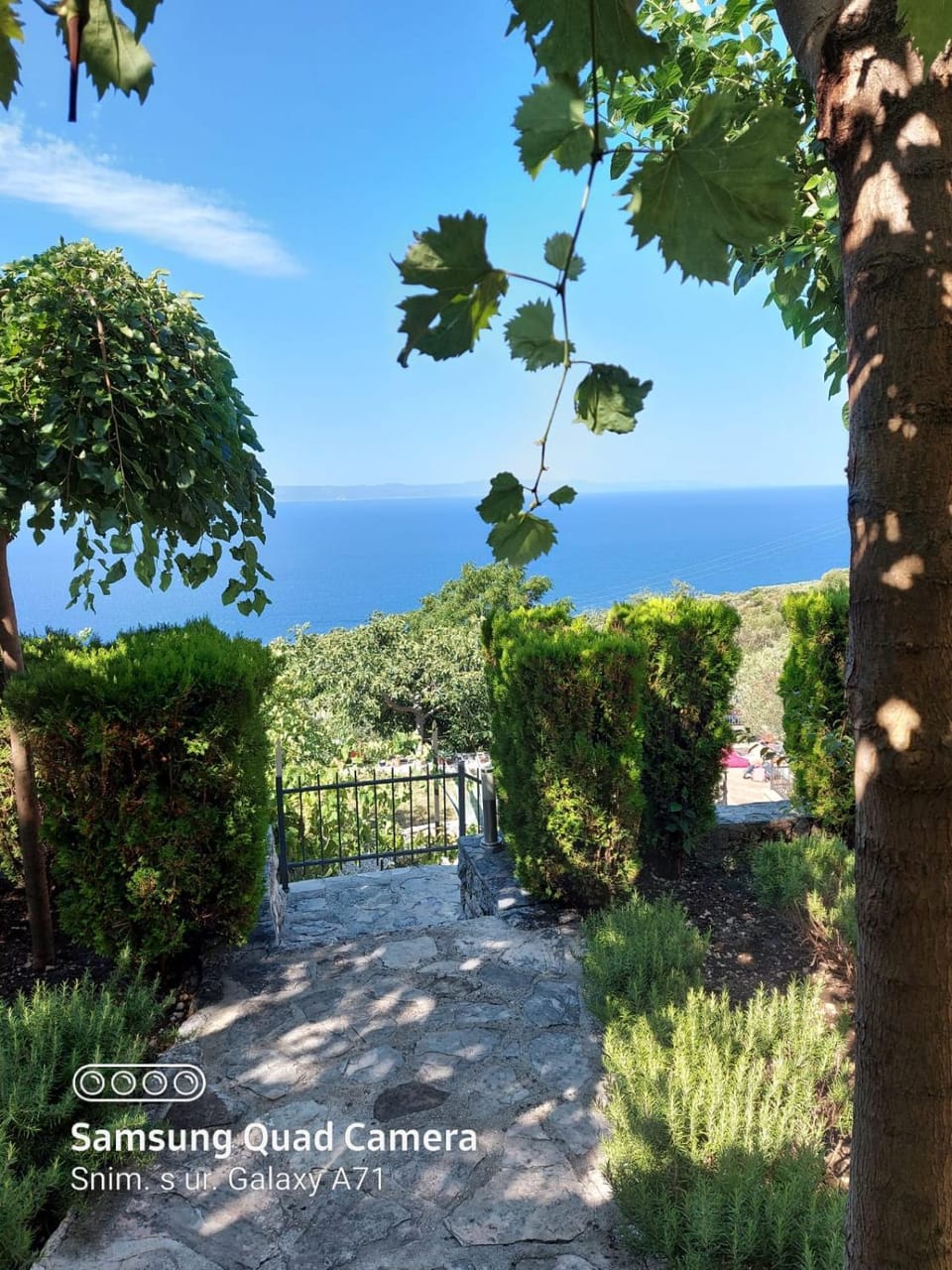 Villa Marija Podgora Apartment in Split-Dalmatia County