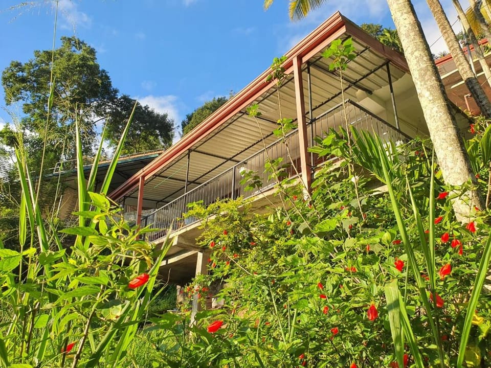 Garden, Garden view