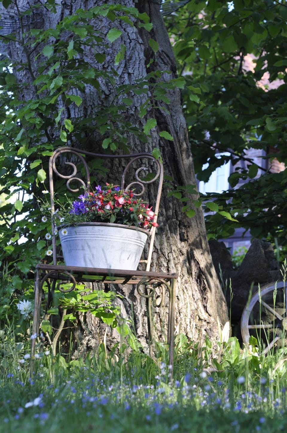 Garden view