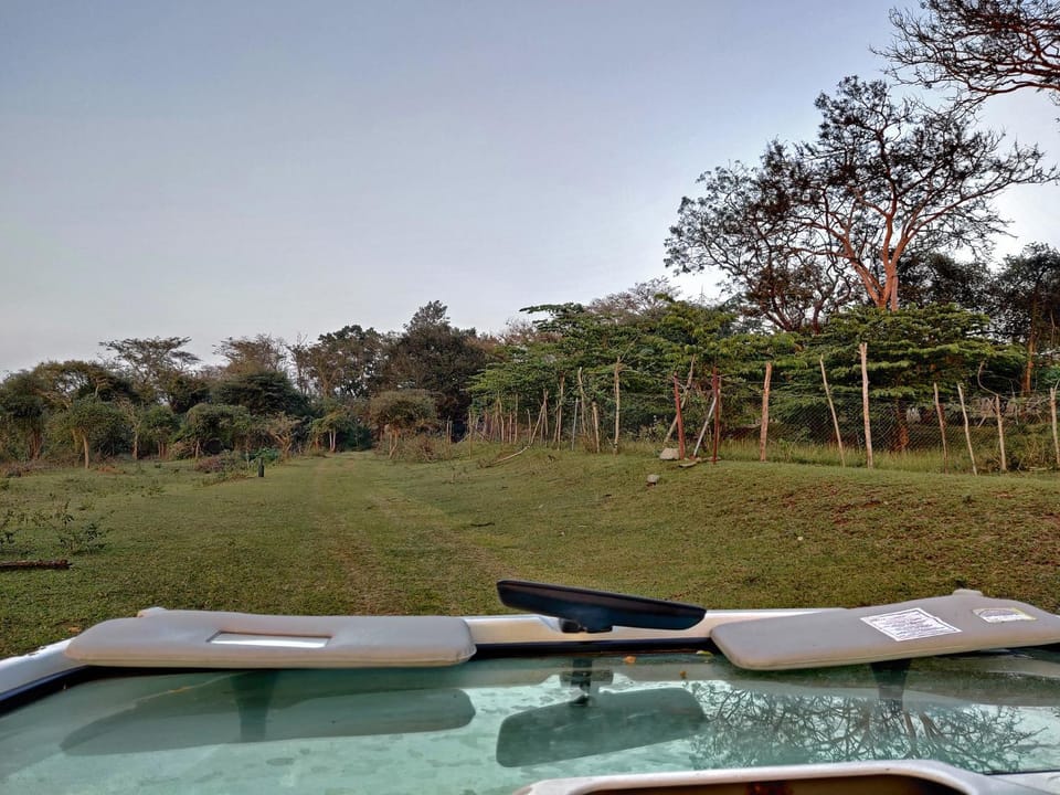 Off site, Day, Natural landscape, Activities, Activities, Garden view, Time of day