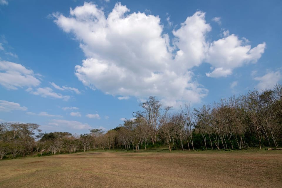Spring, Day, Natural landscape, View (from property/room)