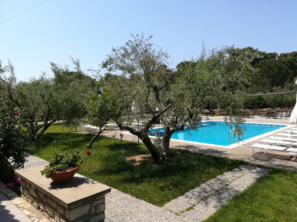 Garden view, Pool view, Swimming pool