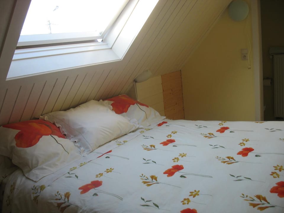 B&B Greenhouse 37 Bed and Breakfast in Ypres