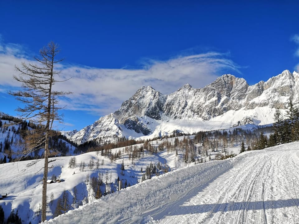 Skiing, Hiking, Landmark view, Mountain view, Sports