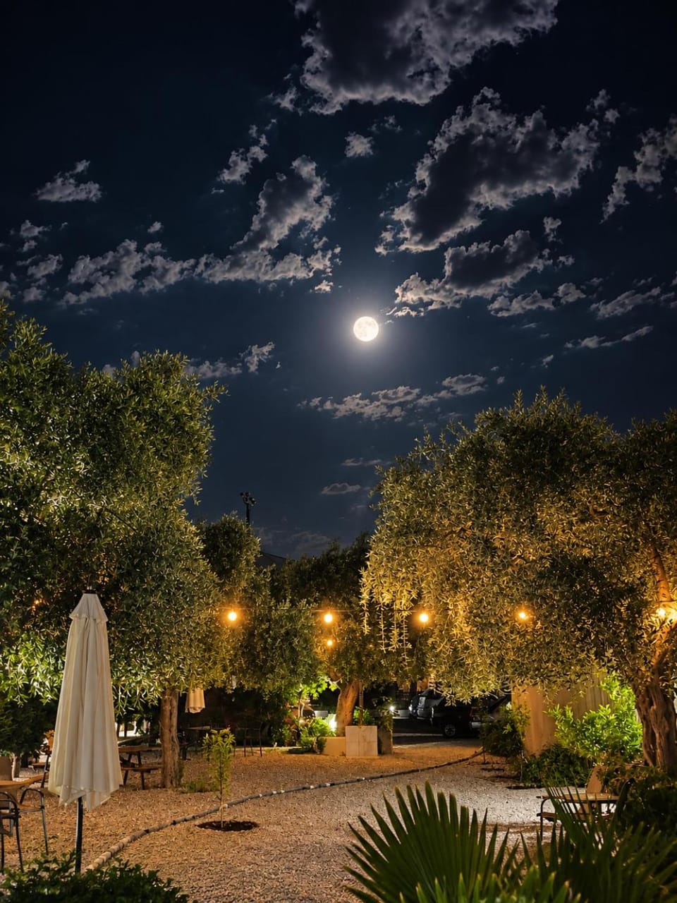 Night, Garden, Garden view