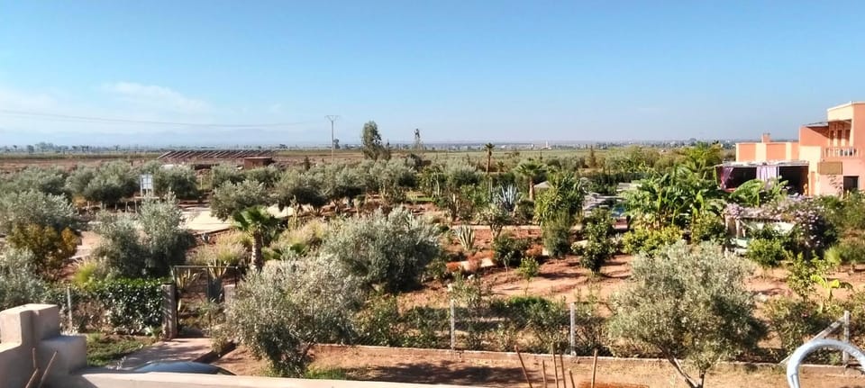 chez JM saida Bed and Breakfast in Marrakesh-Safi