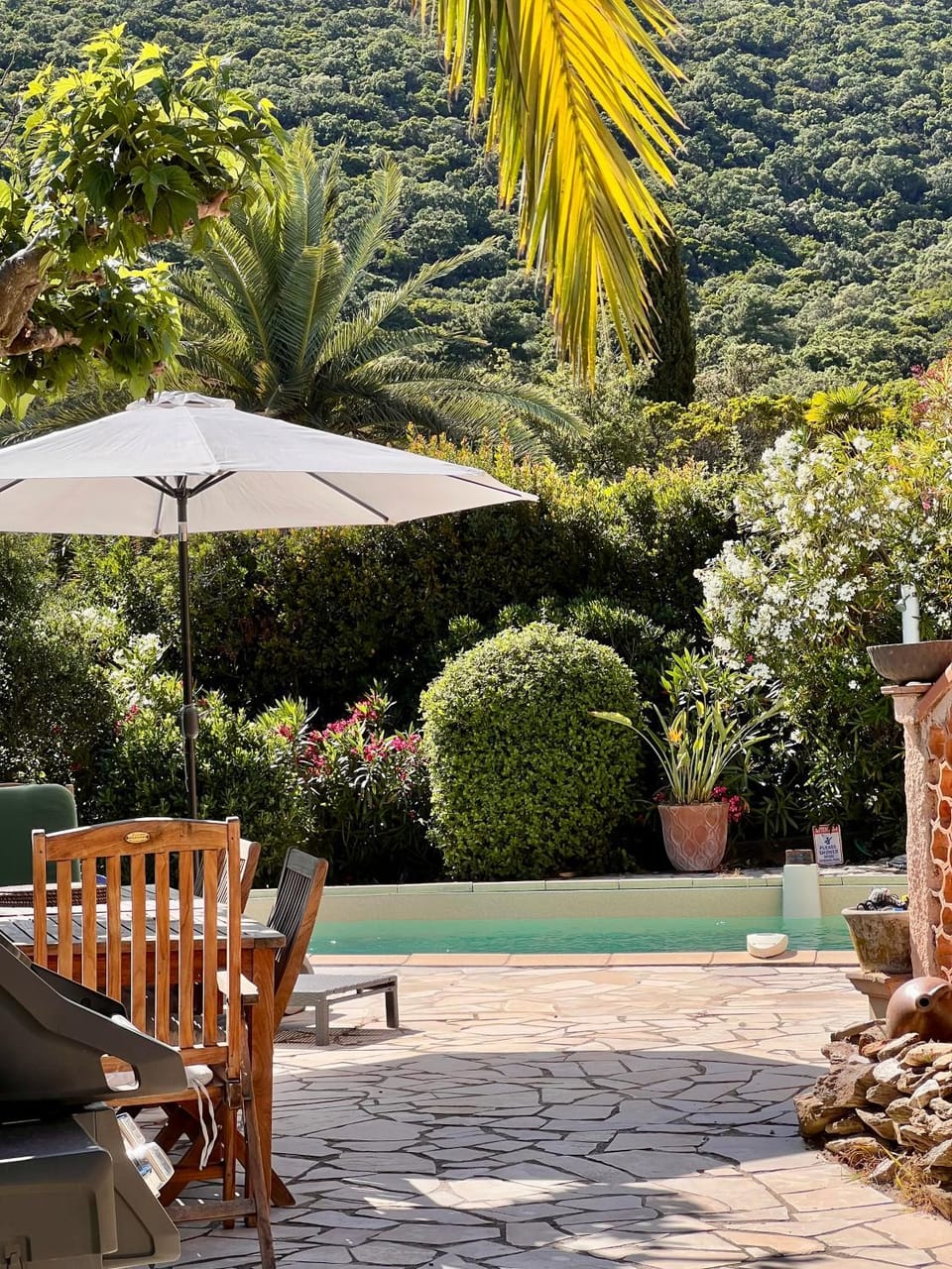 Natural landscape, Garden, Mountain view