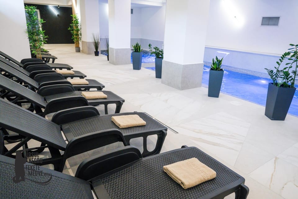 Spa and wellness centre/facilities, Swimming pool