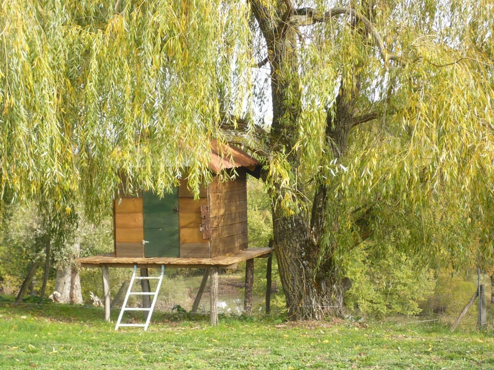 Les Convertigues Bed and Breakfast in Occitanie