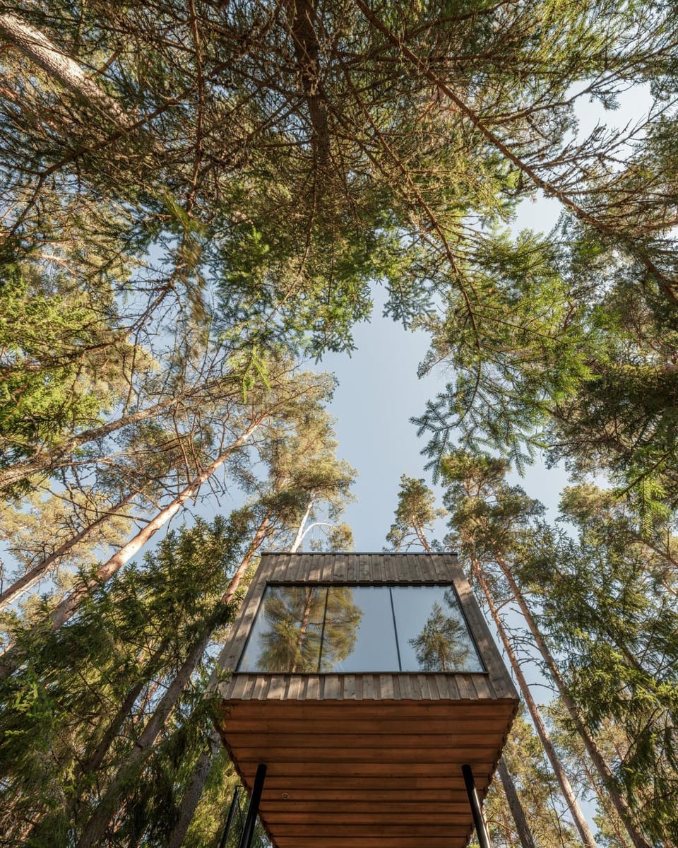 Trakt Forest Hotel Skogssviter House in Sweden