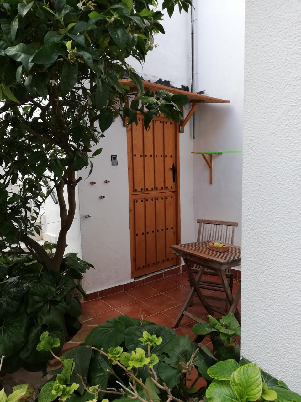 el chaparral Apartment in Tarifa