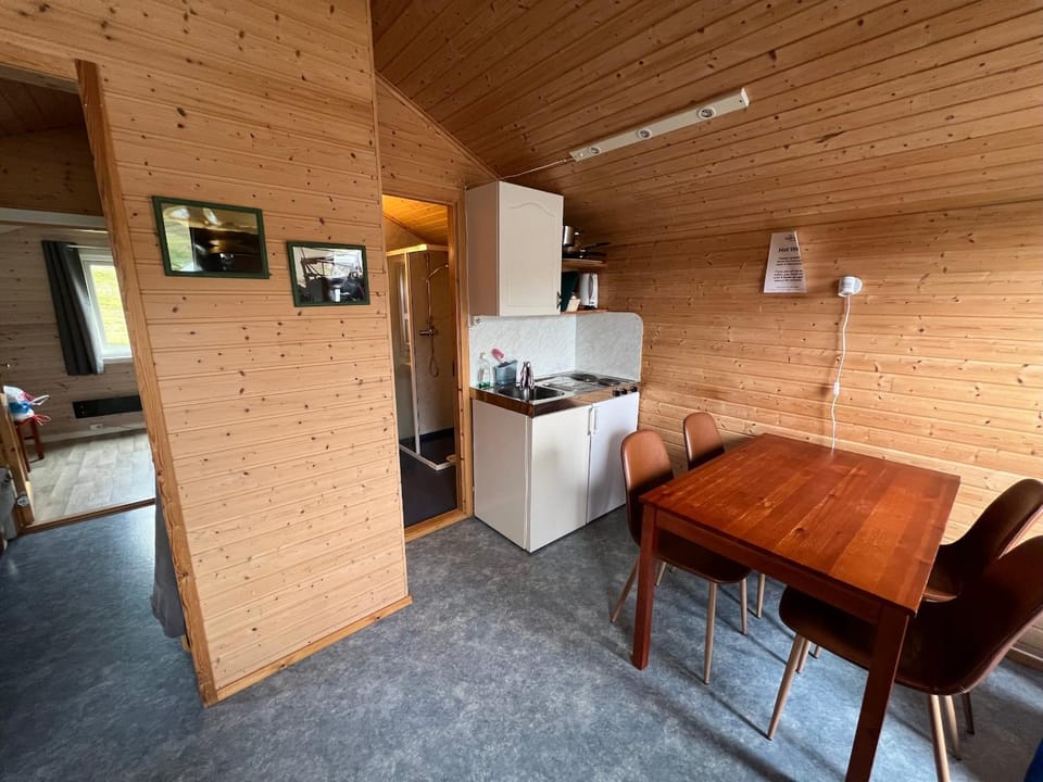 Kitchen or kitchenette, Dining area, stove