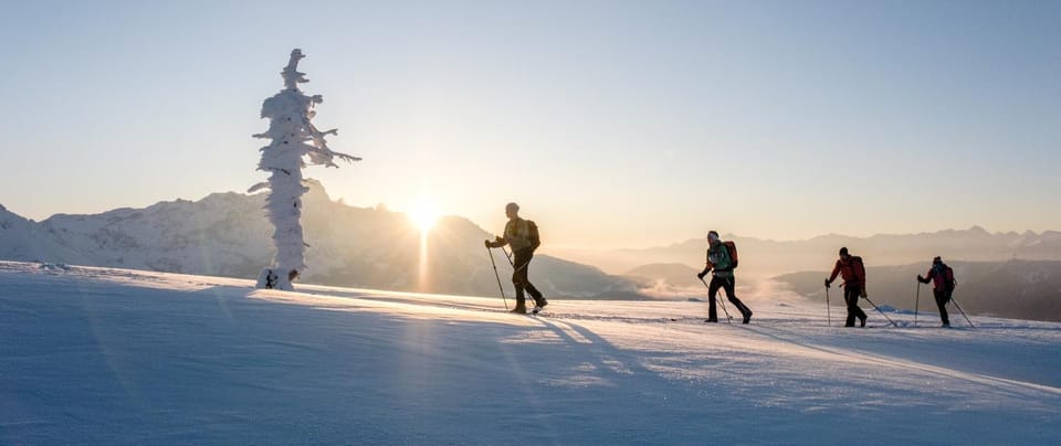 Skiing