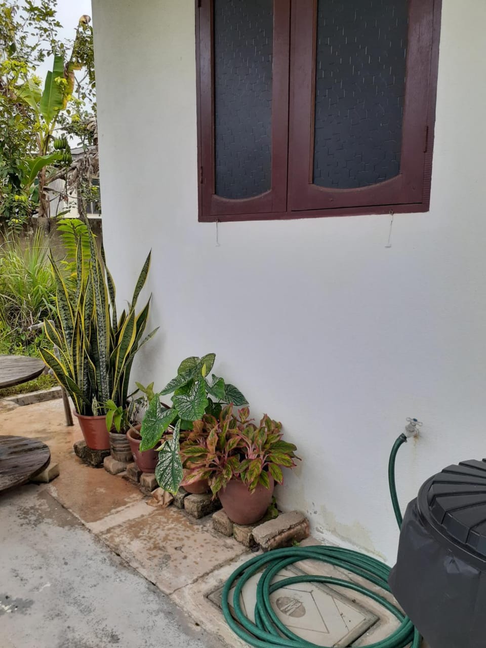 Day, Garden, Garden view