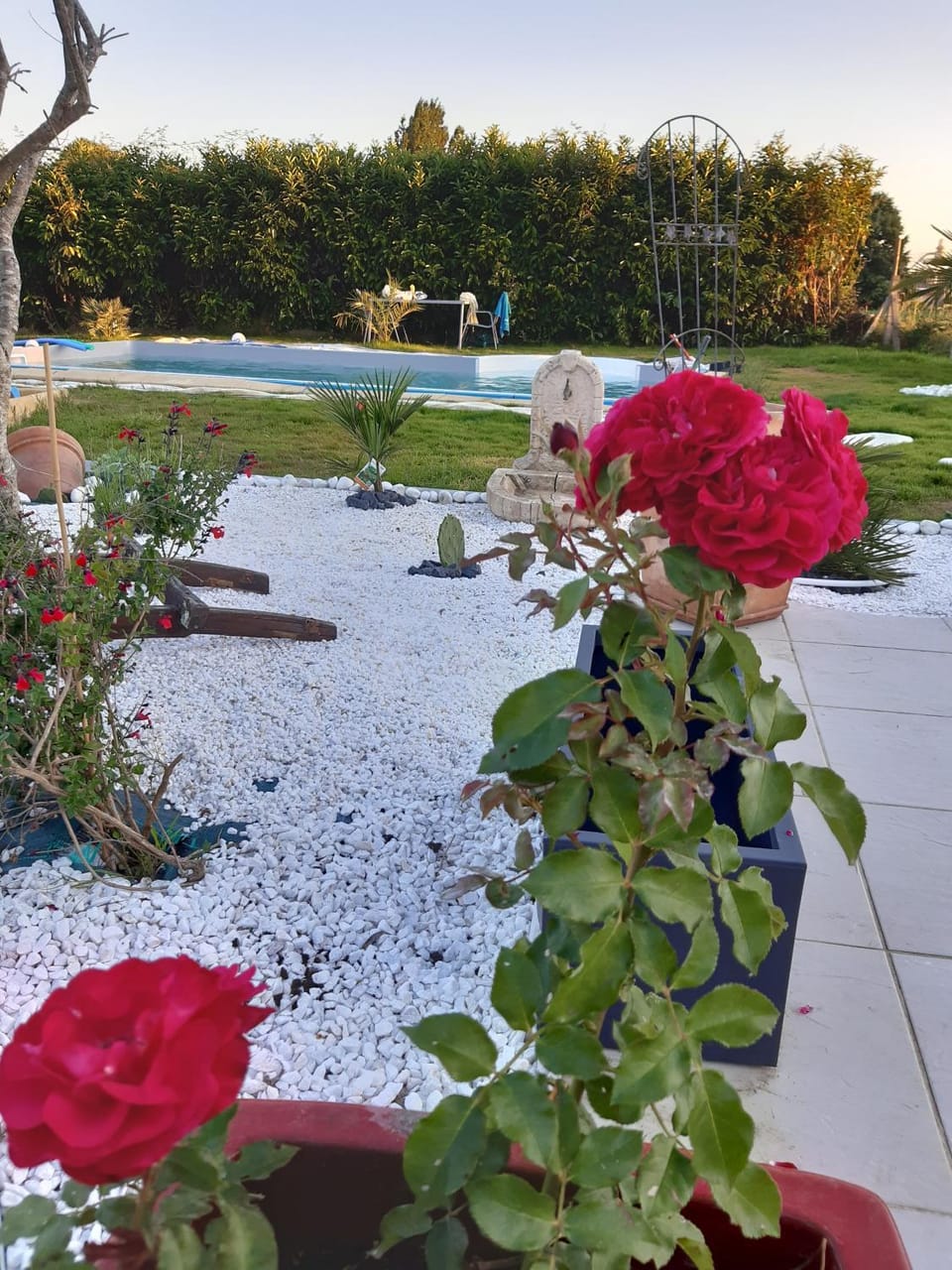 PETIT COIN DE CHARME House in Dax