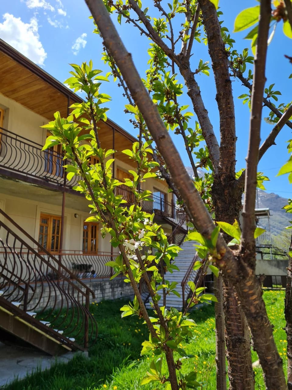 Property building, Garden, Balcony/Terrace