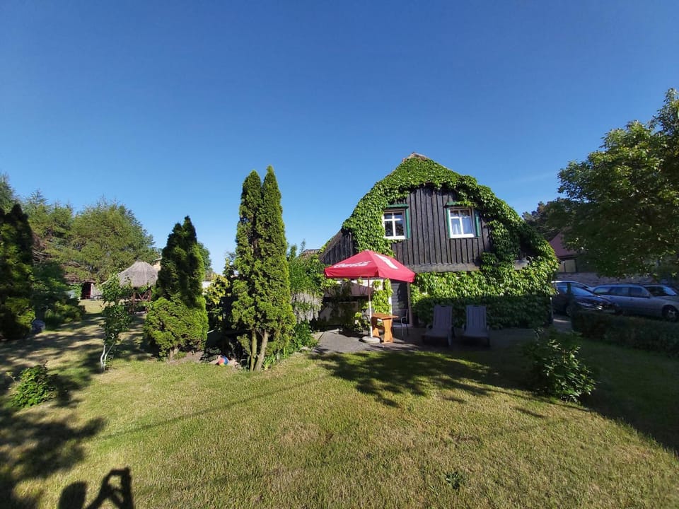 Property building, Garden, Garden view