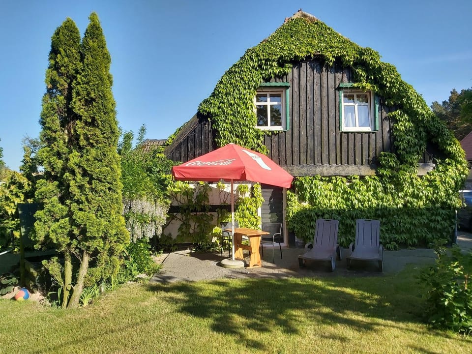Property building, Day, Garden view