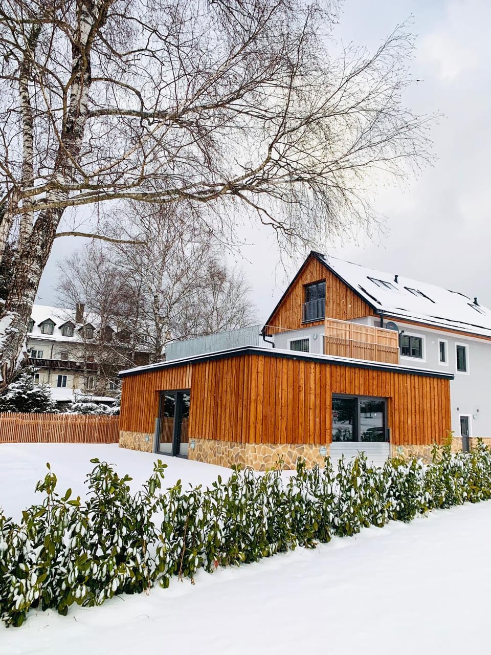 Property building, Winter, Garden