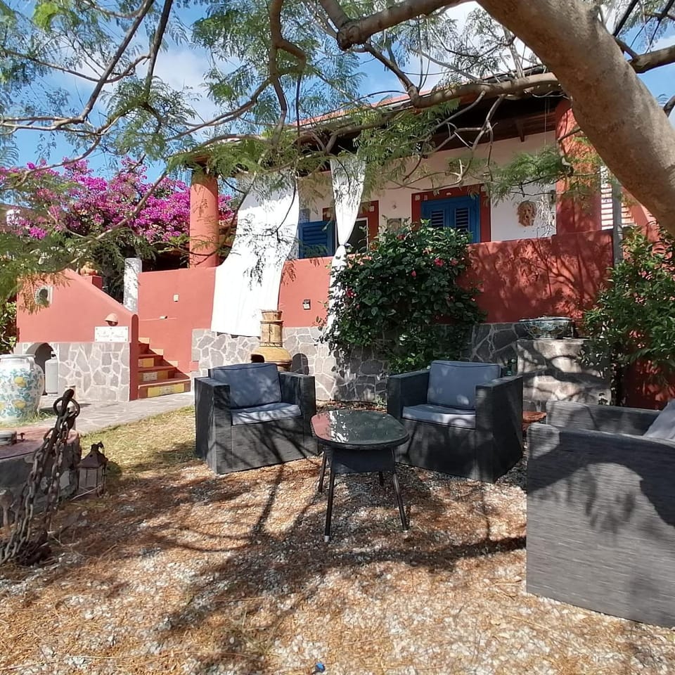 Patio, Garden, Garden view