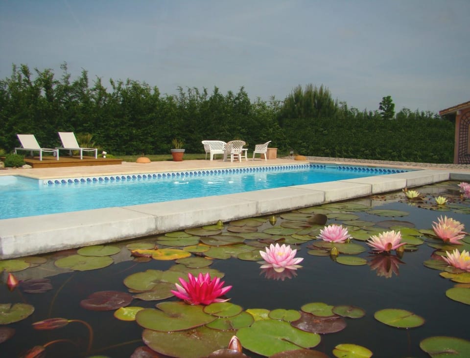 Swimming pool, Swimming pool