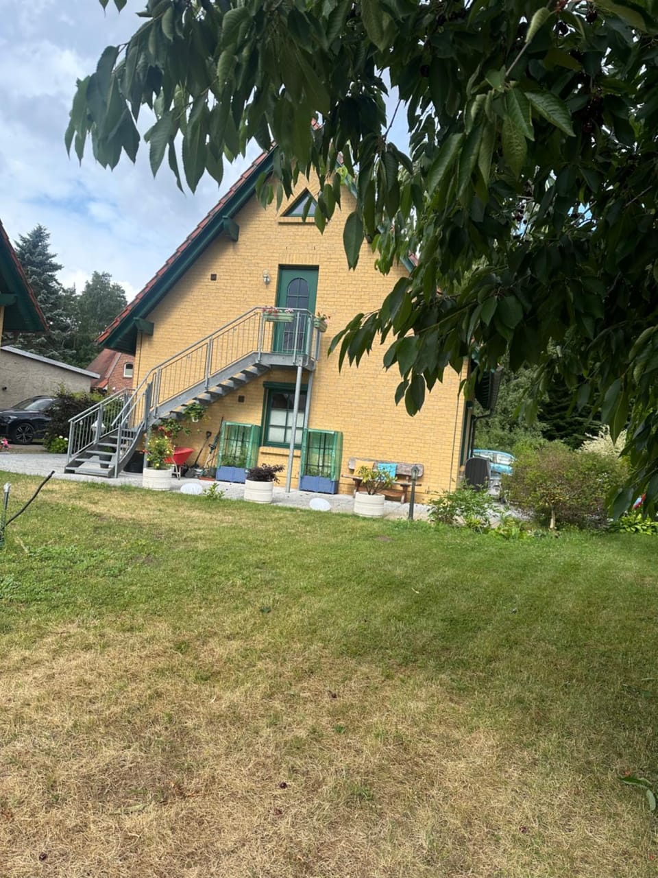 Garden view