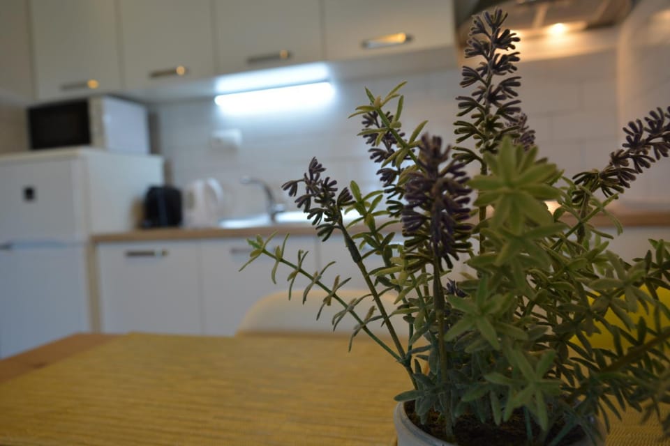 Sunny Day apartments Apartment in Šibenik-Knin County, Croatia