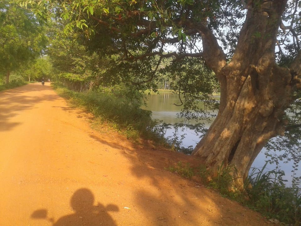 Natural landscape