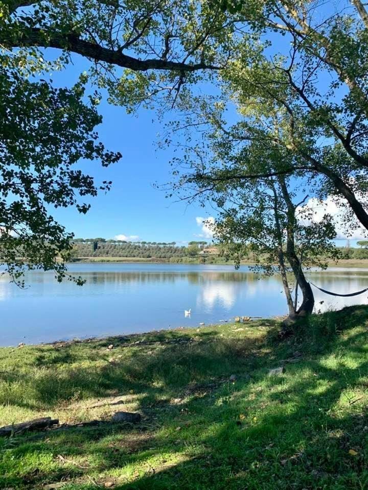 Natural landscape, Garden, Beach, Lake view
