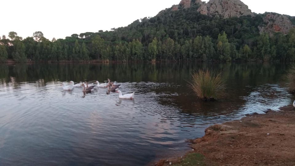 Natural landscape, Lake view