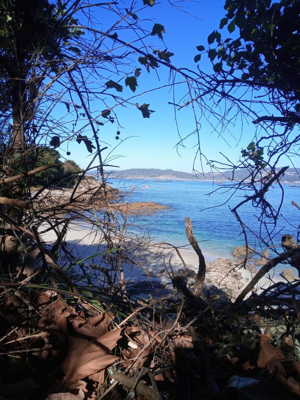 Neighbourhood, Natural landscape, Hiking