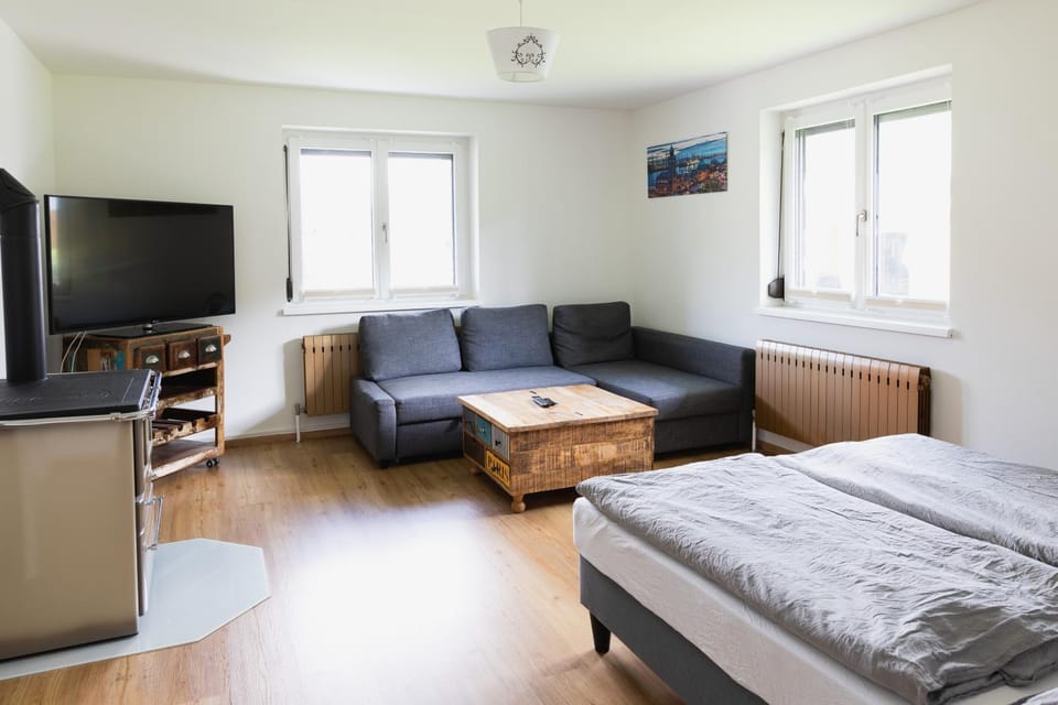 Bed, TV and multimedia, Living room, Photo of the whole room, Seating area
