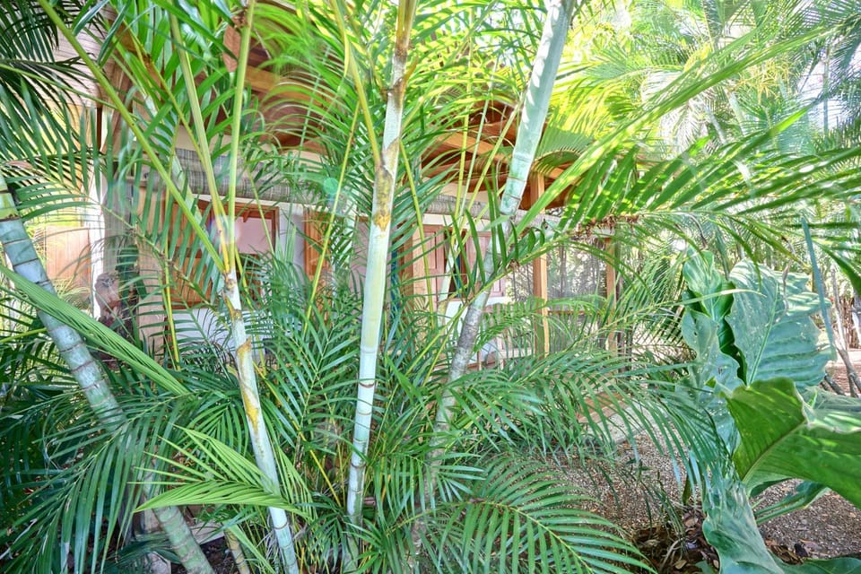 Calamocha Lodge Hotel in Cobano
