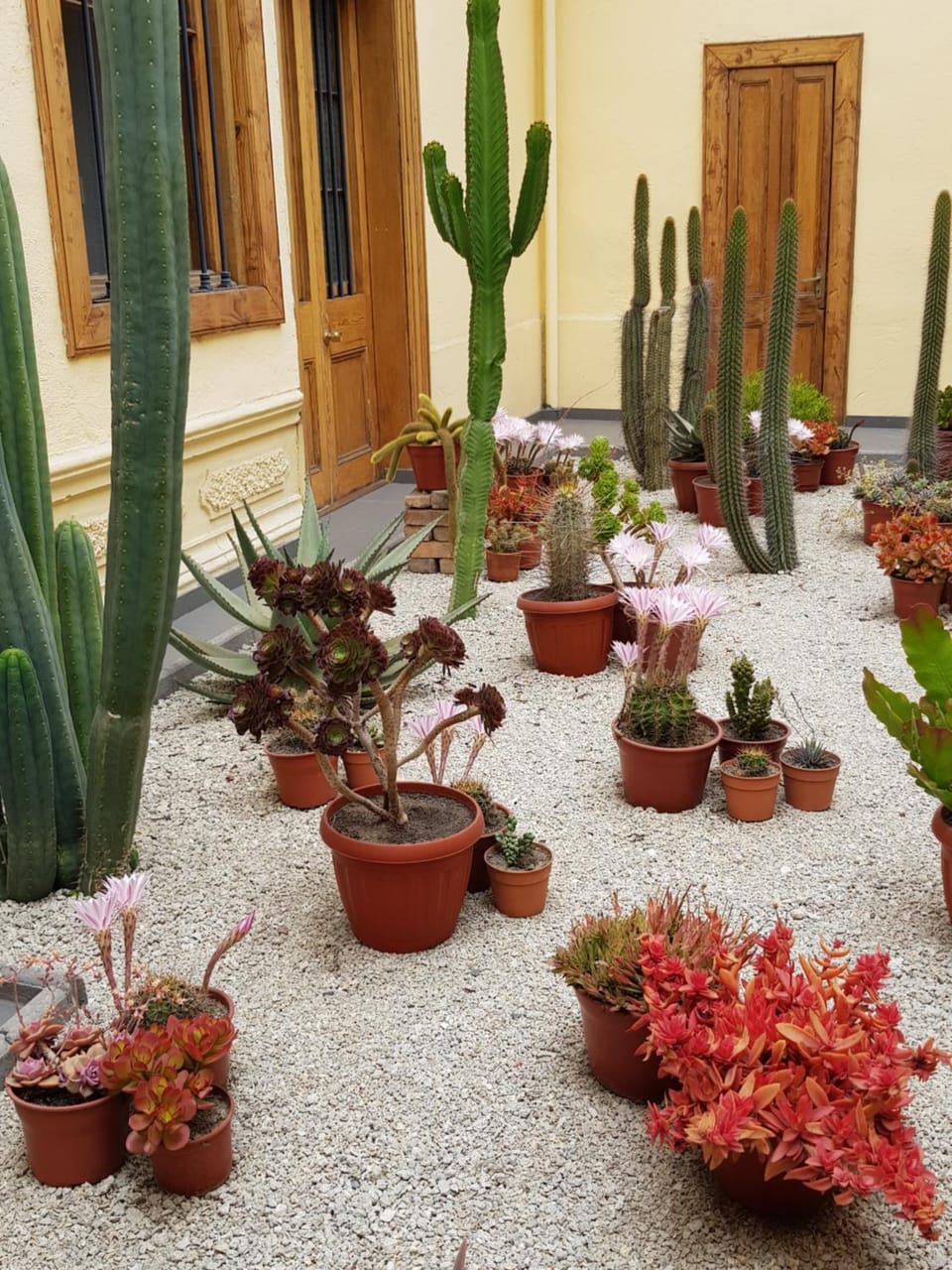 Property building, Patio
