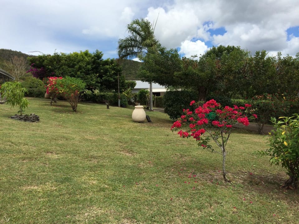 Property building, Garden