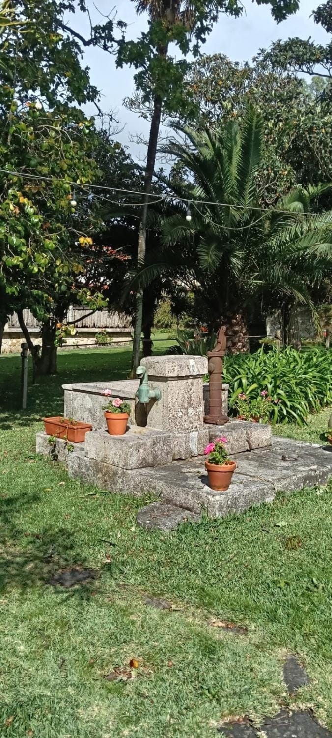Antas Guest House Bed and Breakfast in Portugal