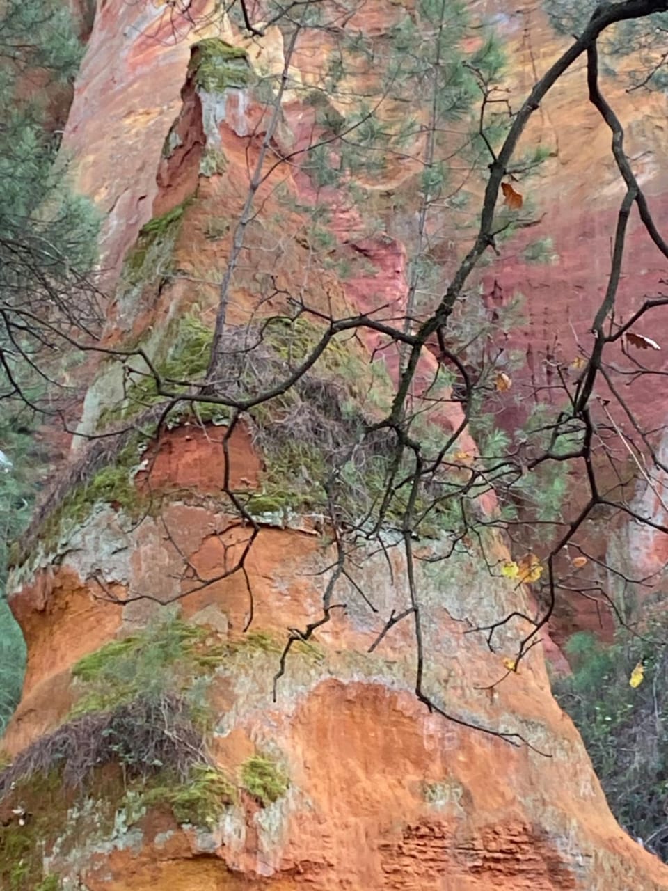 Natural landscape