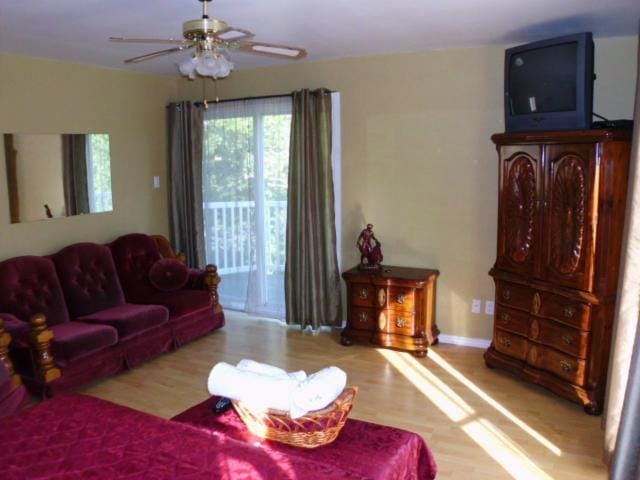 TV and multimedia, fireplace