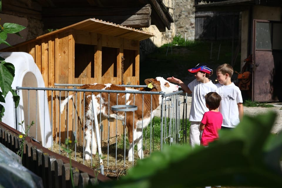 Animals