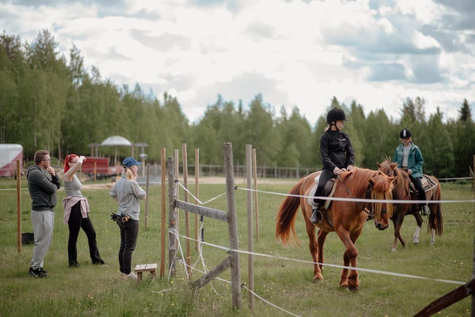 Day, People, Horse-riding, Animals, children, group of guests