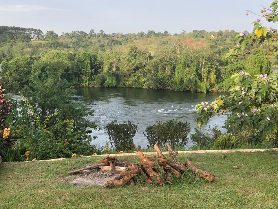 Garden, Evening entertainment, River view