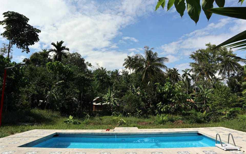 On site, Garden view