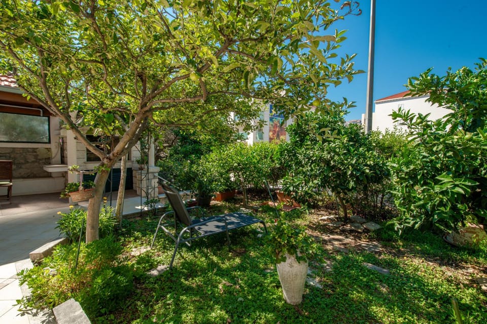 Property building, Garden view
