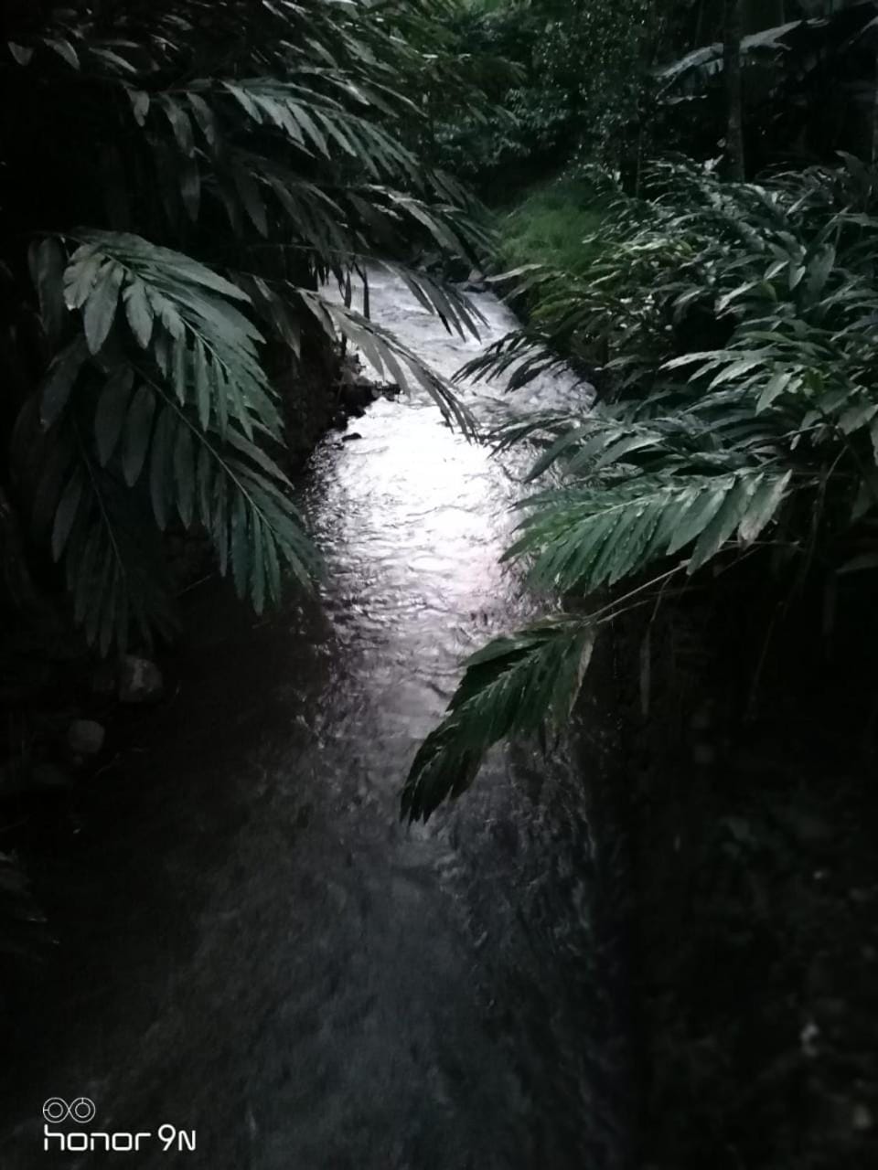 River view