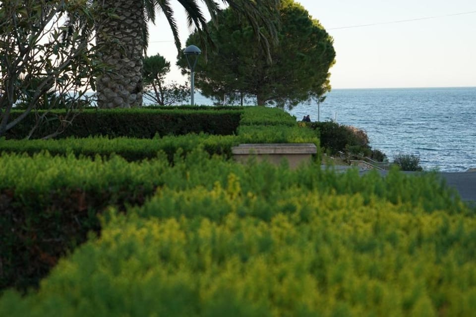 Garden, Sea view