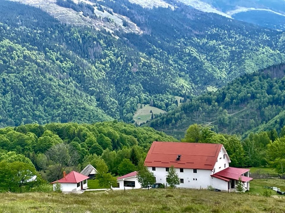 Casa Maria Valea Draganului Vacation rental in Cluj County