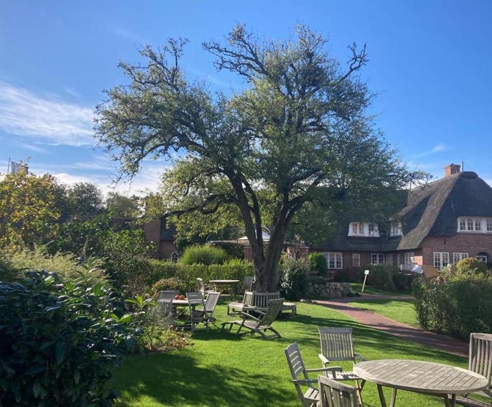 Spring, Seating area