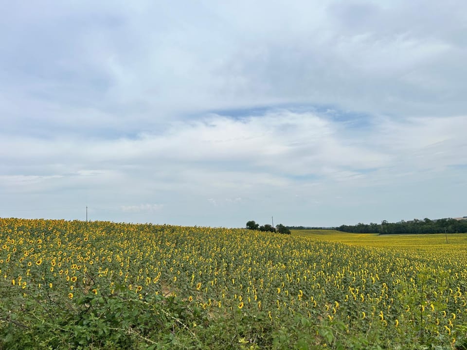 View (from property/room)
